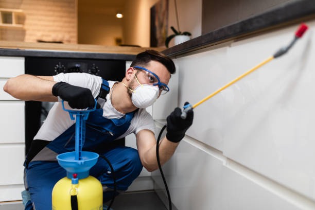 Best Cockroach Control Services  in Durand, WI